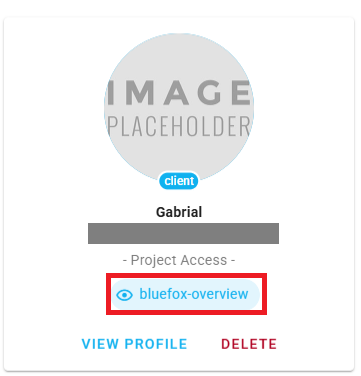 bluefox email client project access level
