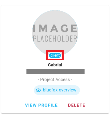 bluefox email client role
