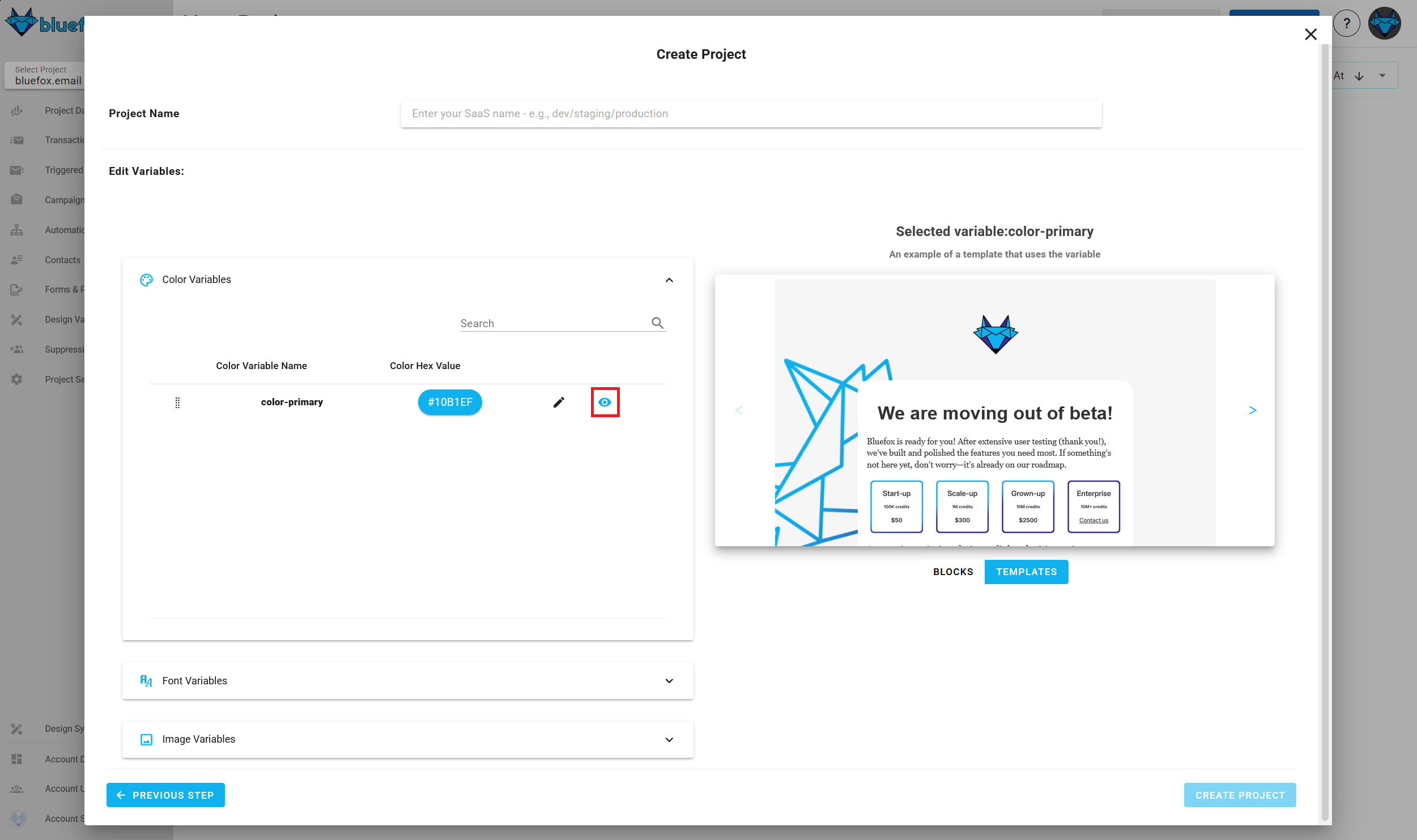 A screenshot of the project creation wizard's email theme basics settings step - preview variable icon.