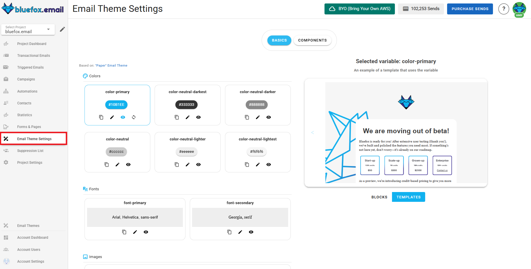A screenshot of a project's email theme settings section.