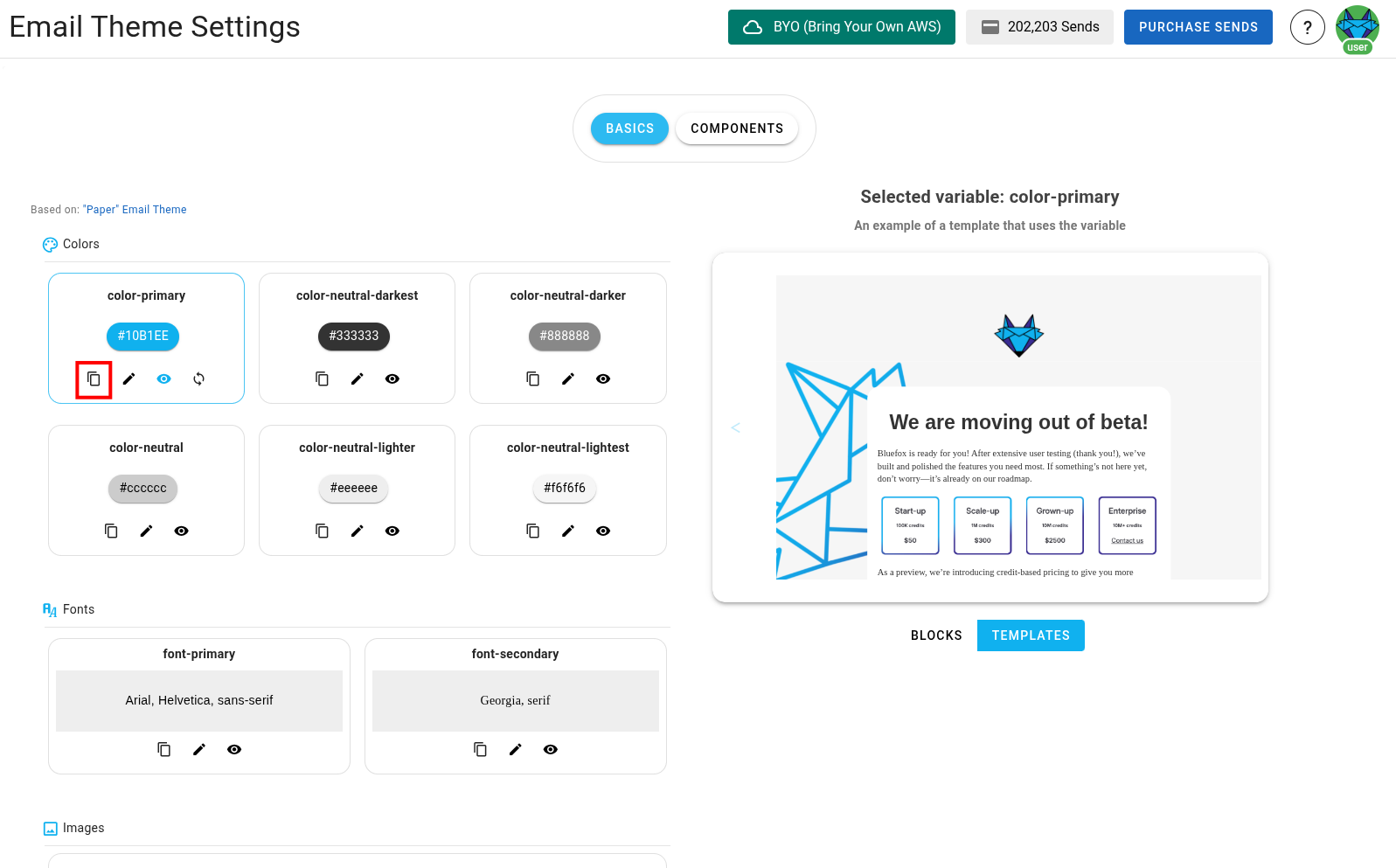 A screenshot of a project's email theme settings section - copy icon highlighted.
