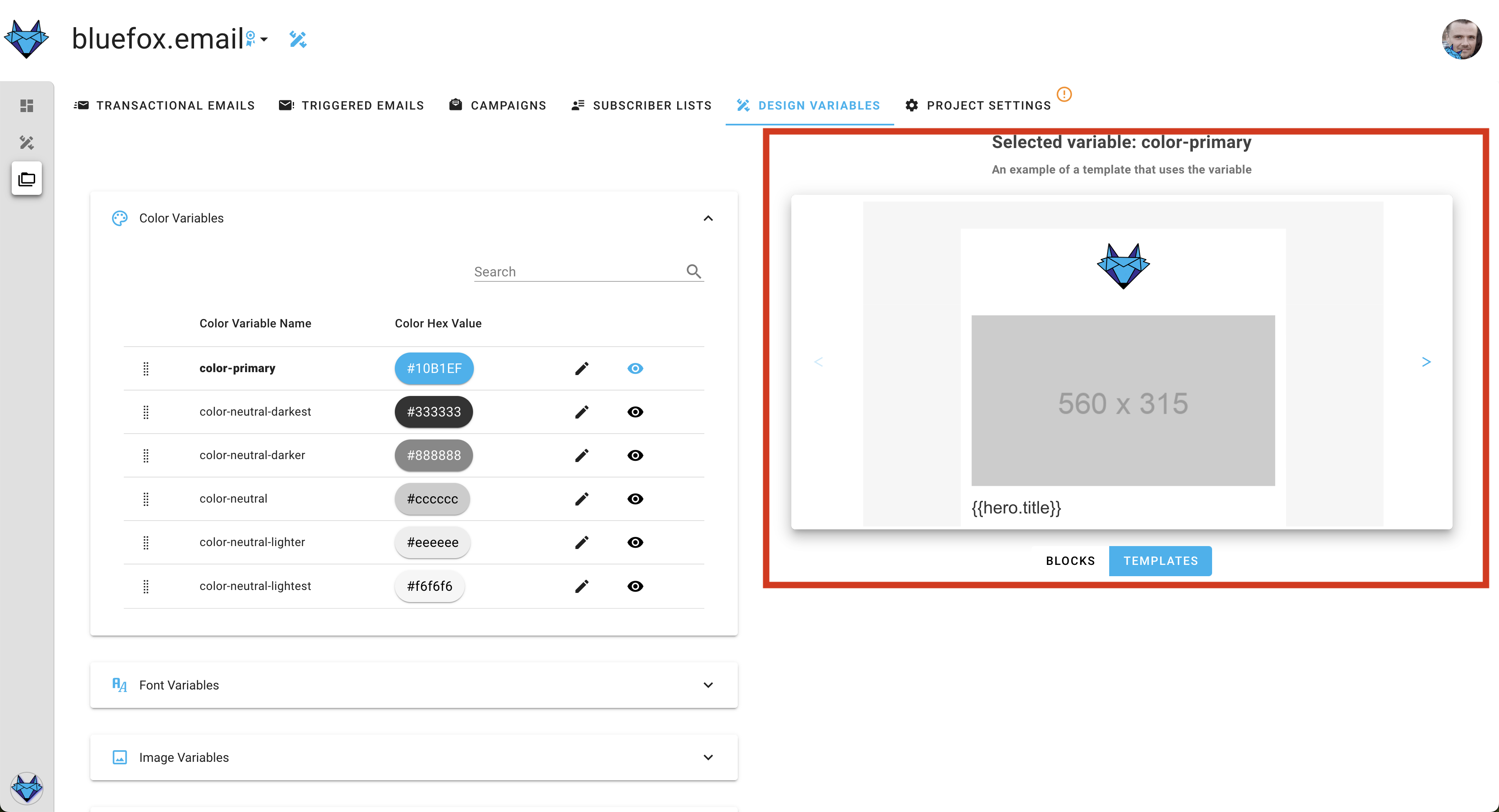 A screenshot of a project's design system settings section - preview highlighted.