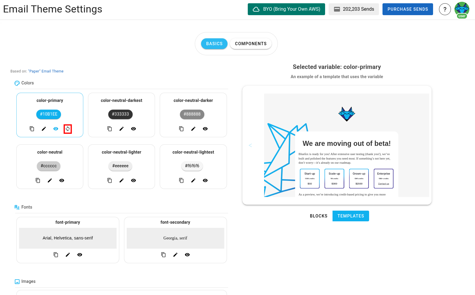 A screenshot of a project's email theme settings section - reset highlighted.