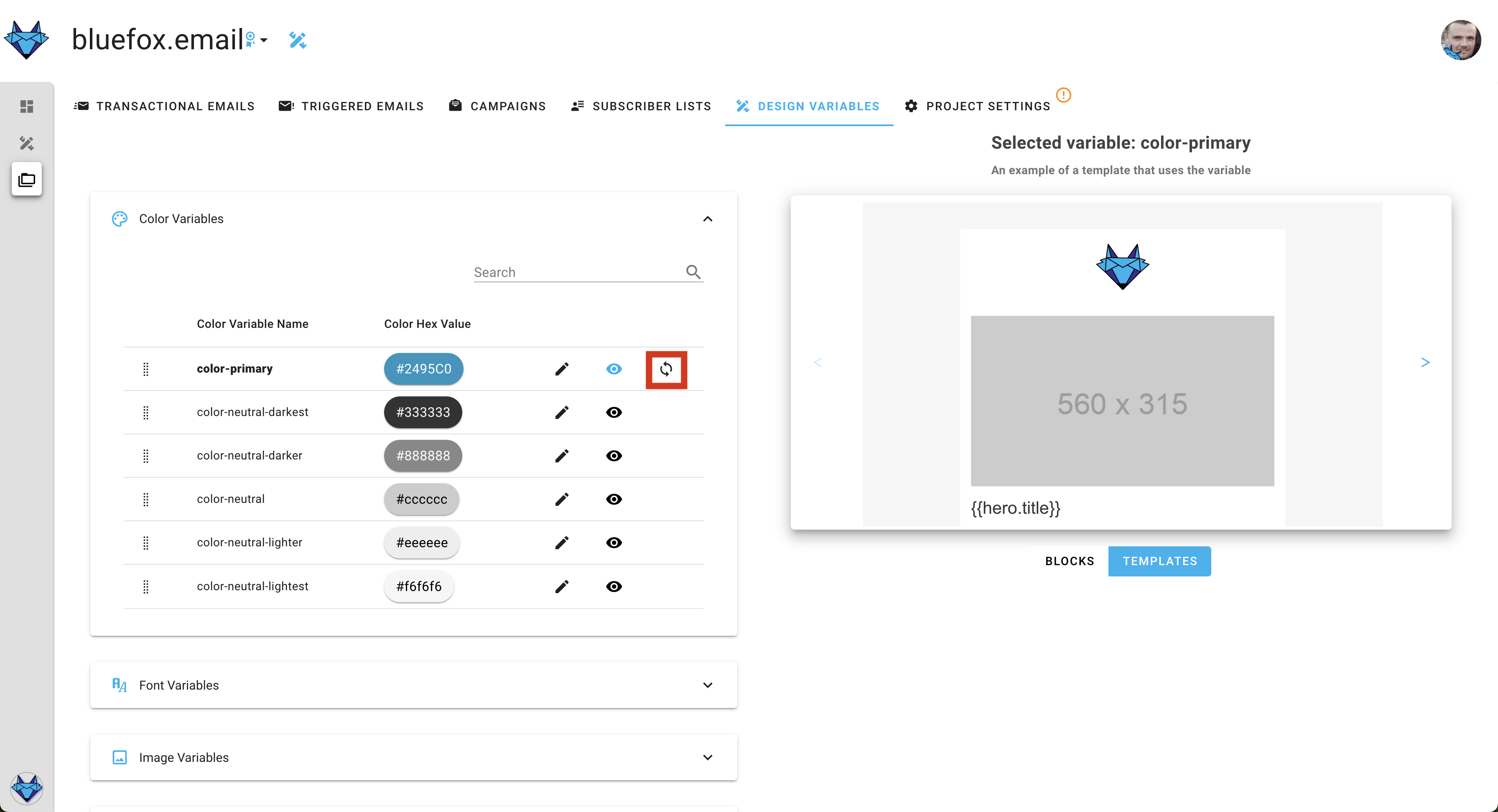 A screenshot of a project's design system settings section - reset highlighted.