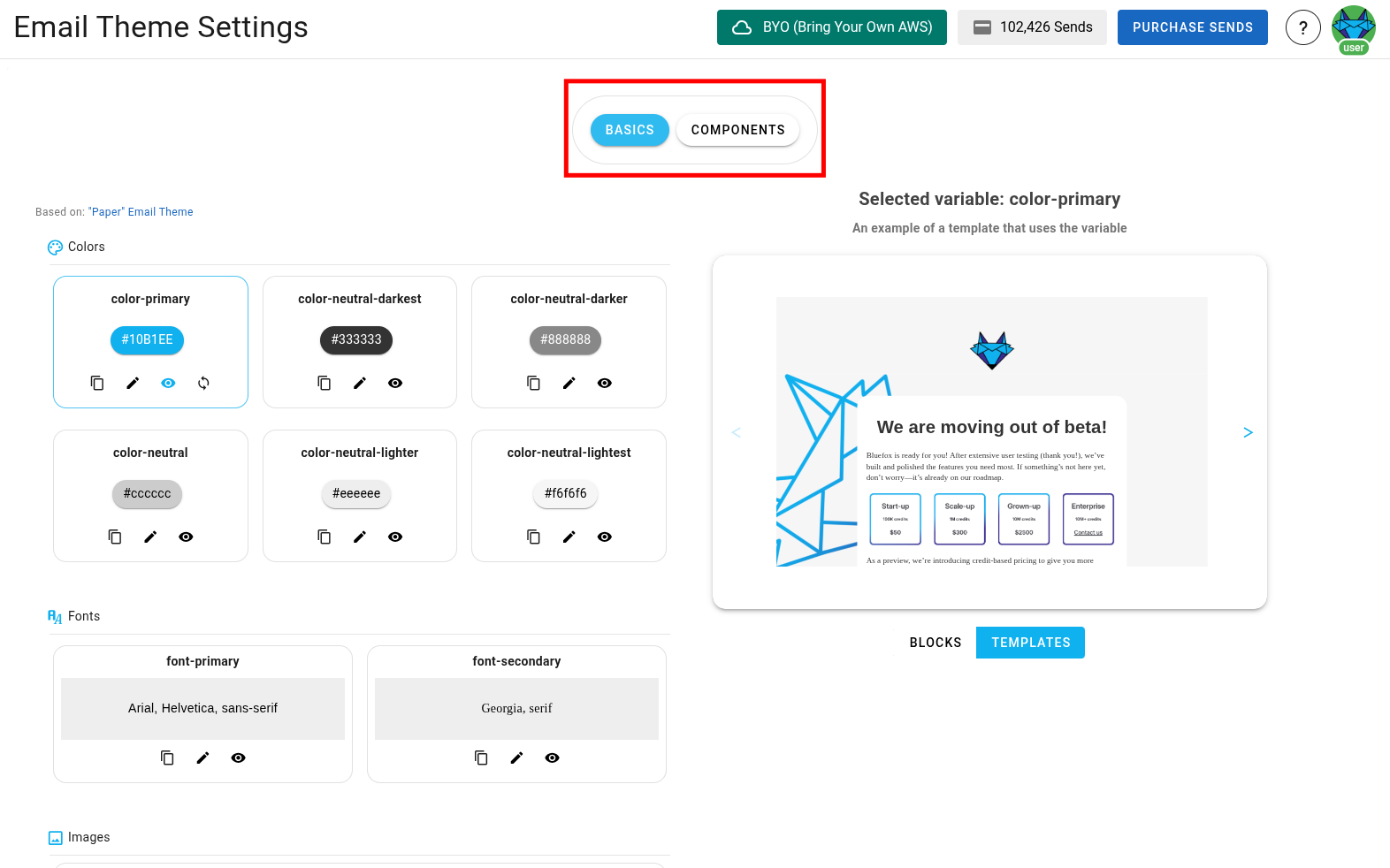 A screenshot of a project's email theme settings section - basics and components highlighted.