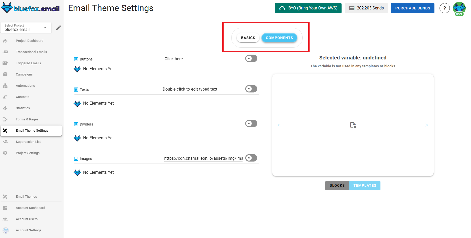 A screenshot of a project's email theme settings section - basics and components highlighted.