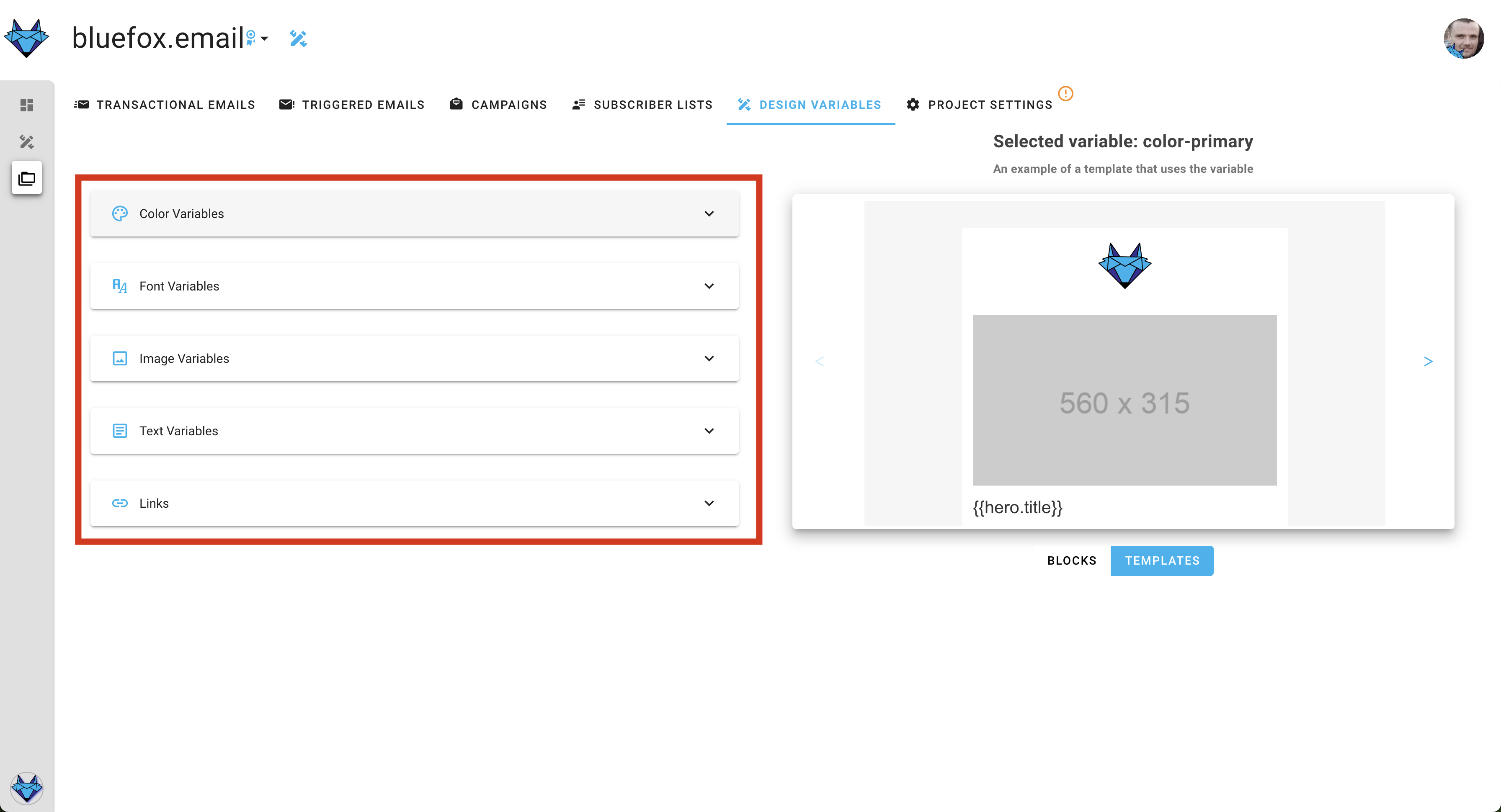 A screenshot of a project's design system settings section.