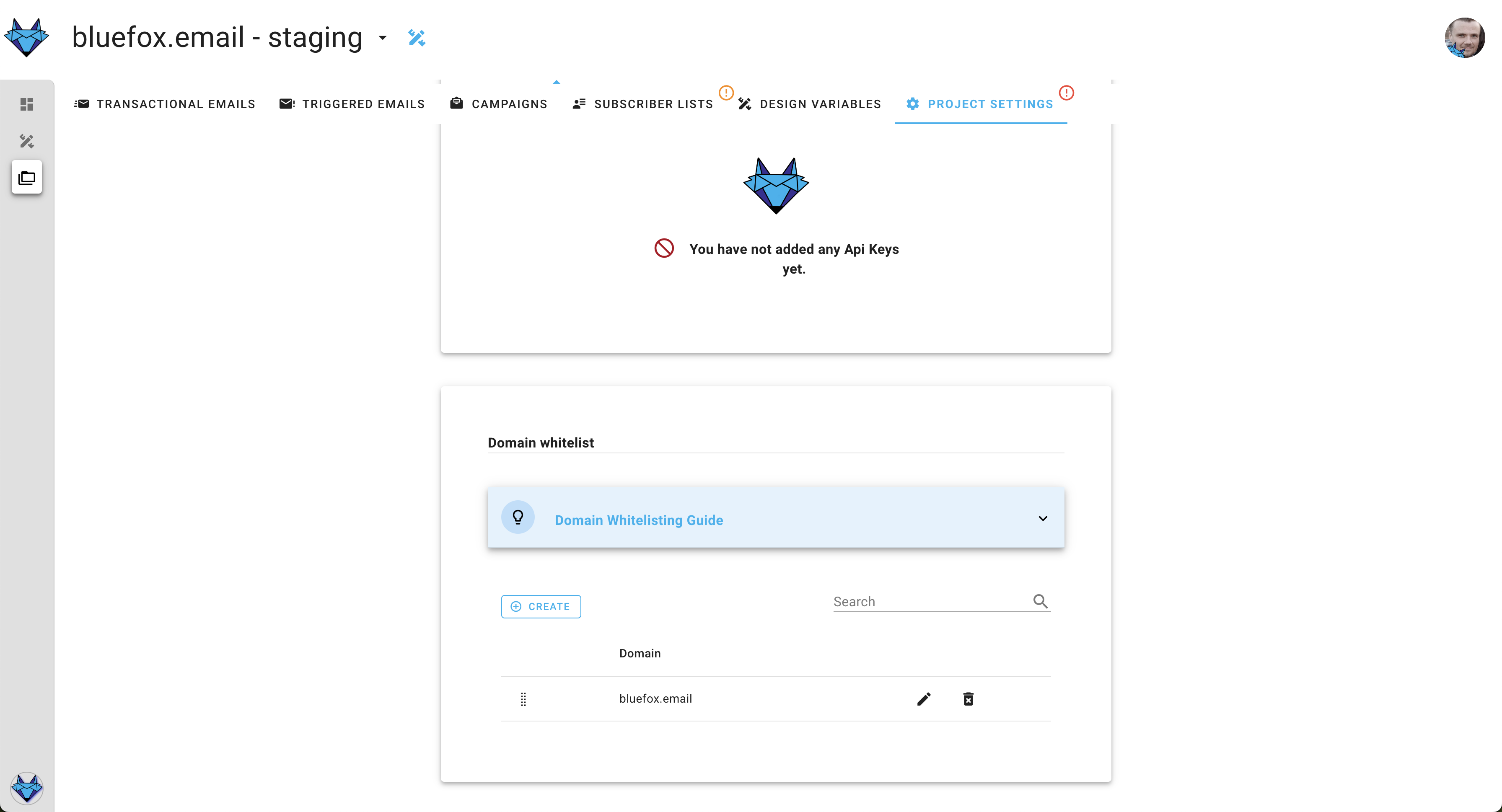 A screenshot of a project settings domain whitelist section.