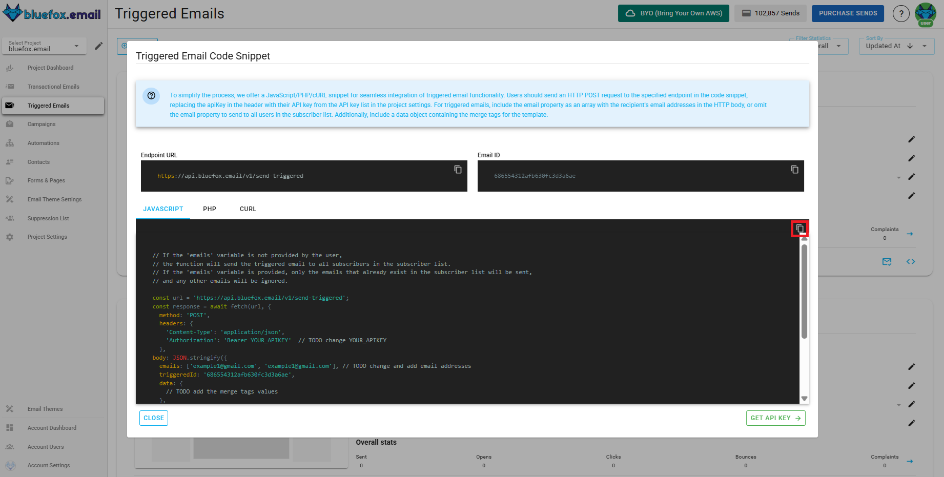 A screenshot of a triggered email's generated code, copy button highlighted.