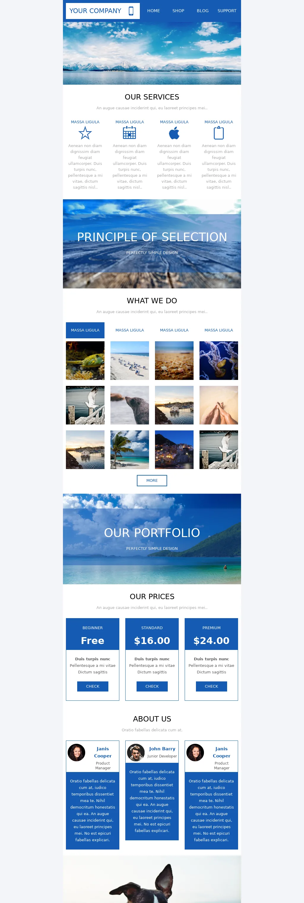 Clean B2B responsive newsletter email template